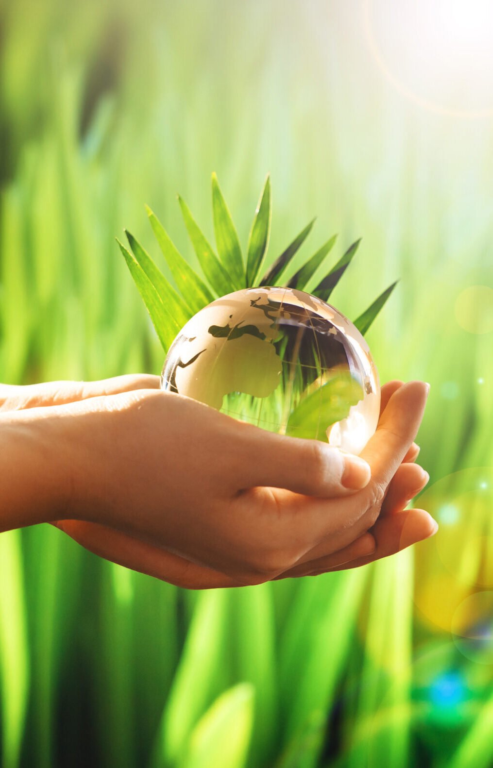 Concept of the Environment World Earth Day Banner. Hands holding glass green planet on sunny background. Save Nature. la nature à portée de main
